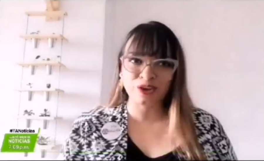 Teleantioquia Noticias: Persisten casos de violencia contra las mujeres