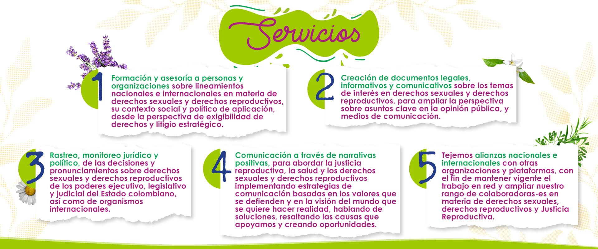 JM_Servicios_Banner_V3