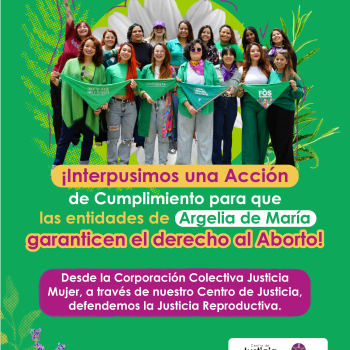 Acción de cumplimiento